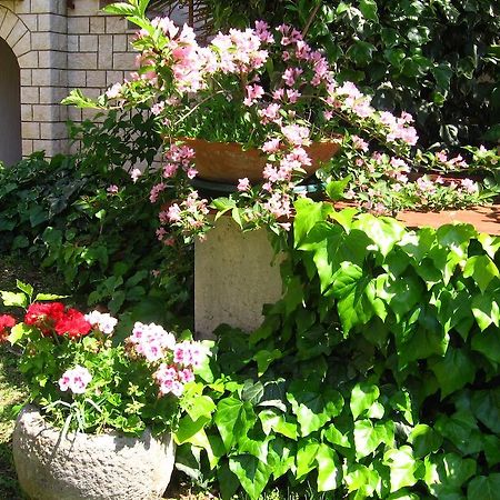 Guest House Caterina Πόρετς Εξωτερικό φωτογραφία